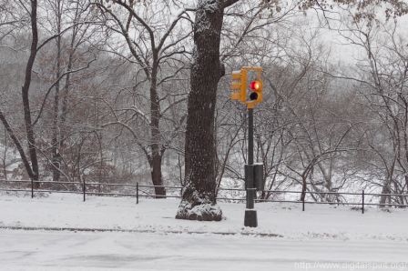 Central Park sous la neige